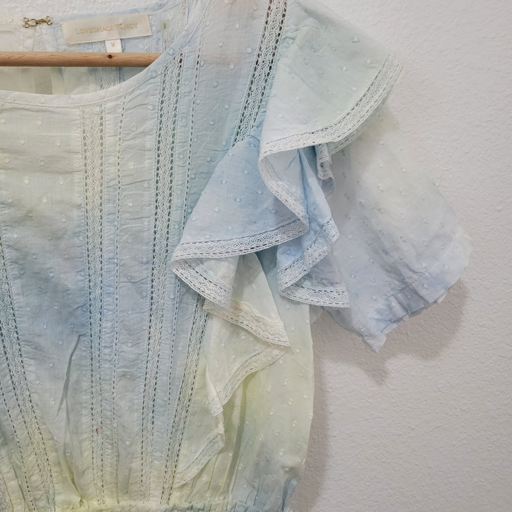 LOVESHACKFANCY Natasha Heritage Ruffle Mini Dress - Picture 11 of 11